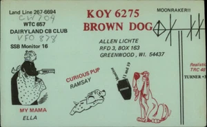 Greenwood, WI QSL Amateurfunk KOY 6275 Hund neugieriger Welpenkunst Clark County Wisconsin - Bild 1 von 2