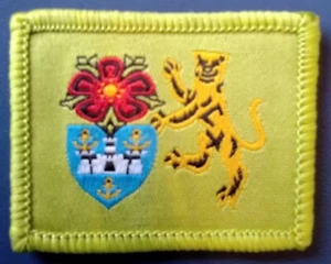 HAMPSHIRE E ISLA DE WIGHT EJÉRCITO CADETE FUERZA TRF - Imagen 1 de 1