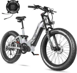 Electric Bike 24" Fat Tire 750W 52V/20AH Full Suspension Mountain E-Bike Bicycle - Picture 1 of 20