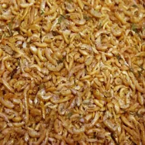 Freeze Dried Gammarus Shrimp Fish Food Tropical Coldwater Koi Turtle Terrapin - Picture 1 of 1