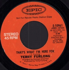 Terry Furlong That's What I'm Here For 7" vinyl USA Epic 1973 mono / stereo - Picture 1 of 2