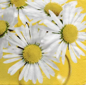 4 Servietten Motivservietten Napkin Serviettentechnik Gänseblümchen (1439) - Bild 1 von 2