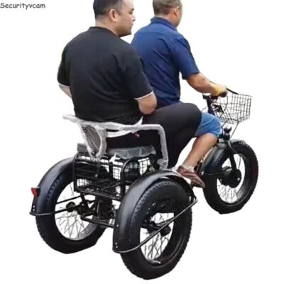 20 Zoll 500W 48V Elektro Dreirad 150kg Tragkraft Trike Erwachsene für 2 Personen - Bild 1 von 4