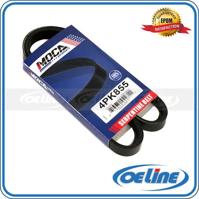 Cinturón accesorio EPDM 4PK855 para Audi A4 Quattro Hyundai Elantra Volkswagen Passat Foto 1 de 4