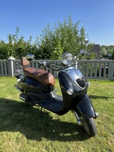 Rex Palermo 50 - Bild 1 von 8