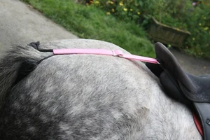 CRUPPER tela rete sella dee a coda mini pony pannocchia F/S colori shetland - Foto 1 di 63