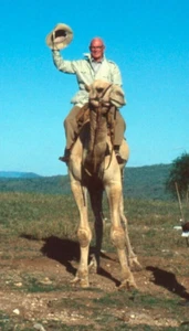 x3 35mm Dias 1977 African Safari Glatze Mann auf einem Kamel Afrika - Bild 1 von 6