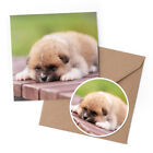 1 x Greeting Card & 10cm Sticker Set - Red Japanese Akita Inu Puppy Dog #12661