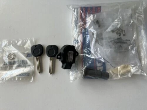 NUEVO Kit de cilindro de bloqueo de encendido genuino GM sin codificar con vasos 20869121 OEM Foto 1 de 3