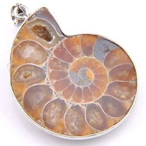 Xmas Holiday Jewelry Gift Natural Ammonite Fossil Gems Silver Necklace Pendant - Picture 1 of 6