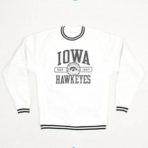 Champion Men Iowa Hawkeyes Pullover Sweater Cotton Gray Size S Stained Line - Picture 1 of 8