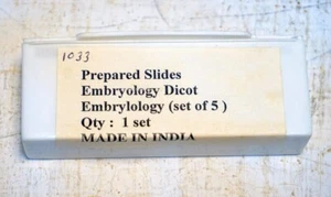 Juego de diapositivas de microscopio preparado, dicotileador embriología, 5 diapositivas, ¡nuevo! - Imagen 1 de 2
