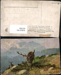 431344,Künstler Ak Müller jun. Röhrender Hirsch Wild Jagd - Bild 1 von 1