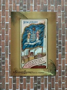 True 1/1 2014 Topps Allen & Ginter US Flags New Jersey Framed Original - Picture 1 of 3