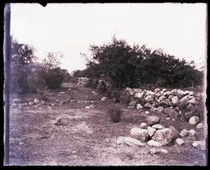 LATE 1800s  EARLY 1900s GLASS NEGATIVE; MISCELLANEOUS NEW HAMPSHIRE SCENE??-1 - Picture 1 of 2