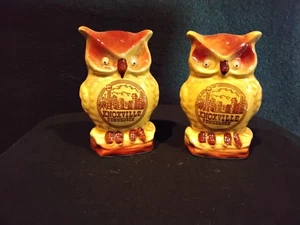 VINTAGE SOUVENIR OWL SALT AND PEPPER SHAKERS WITH GOOGLE EYES KNOXVILLE TN - Picture 1 of 7