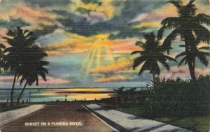 Sunset on a Florida River Unposted Vintage PC - Picture 1 of 2