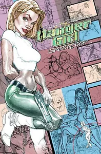 J. SCOTT CAMPBELL DANGER GIRL SKETCHBOOK HC 1st Print IDW 2011 Hardcover + new + - Picture 1 of 1