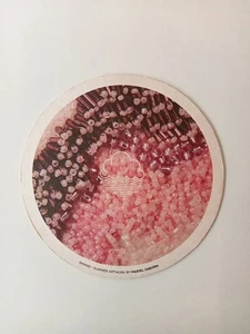 Sous Bock : CLOUDWATER BREW Co / Manchester - Royaume Unis - Picture 1 of 2