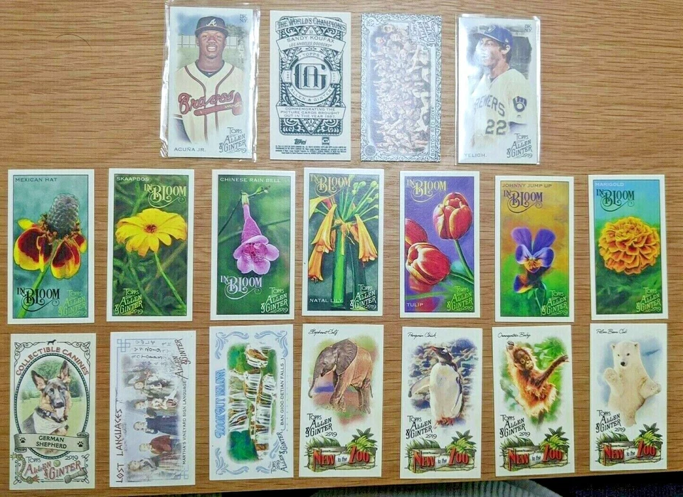 2019 Topps Allen & Ginter - U PICK Mini SP Inserts - Base, A&G, Black - Image 1 of 1
