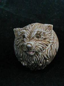 Harmony Kingdom - Brando Roly Poly- TJRPHO - FREE SHIPPING! - Picture 1 of 4