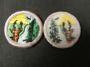 Conservation of Natural Resources Merit Badge Clear Plastic Waffle Back   NPC5 - Picture 1 of 1