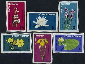 1984 Iris,White Lotus,Yellow water-lily,Flowers,Danube Delta,Romania,Mi.4035,MNH - Picture 1 of 1