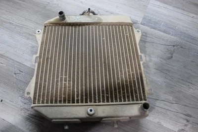 Honda Rancher 420 Trx420 2010 2x4 motor eléctrico radiador motor refrigeración Foto 1 de 4