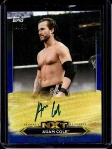 2020 Topps Undisputed WWE Adam Cole Blue Autograph Auto #13/50 - Picture 1 of 2