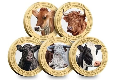 Just Released 2024 £2 Coin Collection The Heritage Cattle Breeds Colour £2 Coins - Image 1 of 2