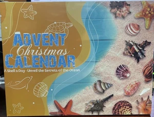 ADVENT CHRISTMAS CALENDAR SHELL A DAY - Picture 1 of 2