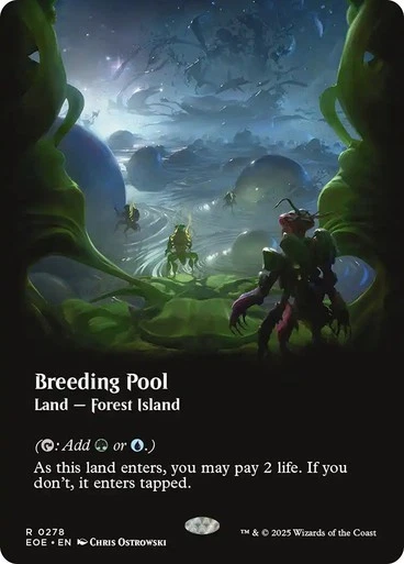 MTG - Breeding Pool - Borderless - Edge of Eternities - Magic the Gathering - Image 1 of 1