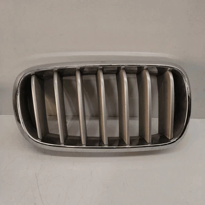 7316076 Parrilla Derecha BMW X5 (F15) xDrive30d SUV 5p/d/2993cc - Imagen 1 de 4