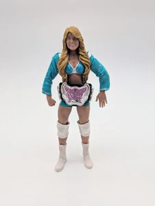WWE Mattel Elite Series 17 Kelly Kelly Action Figure - Picture 1 of 7