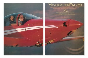 Falco Aircraft Report 8/25/2025k - Picture 1 of 1