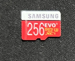 Tarjeta Micro SD XC Samsung 256GB Evo Plus para Nintendo Switch - Imagen 1 de 1