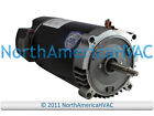 Nidec US Motors Round Flange Pool Spa Pump Motor 1.25 HP Replaces AST125