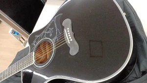 Epiphone Dave Navarro Eco Acoustic Guitar, Solid Sitka Spruce Top, eSonic Preamp - Picture 1 of 13