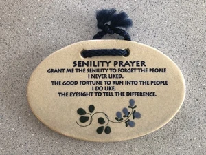 Placa de pared de cerámica Mountaine Meadows oración senilidad letrero divertido arte de pared EE. UU. - Imagen 1 de 5
