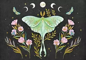14 ct. Note Cards - Luna Moth Note Cards - Foto 1 di 3