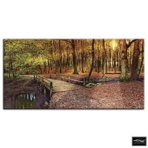 Waldbrücke Landschaften BOX GERAHMTE LEINWAND KUNST Bild HDR 280 g/m² - Bild 1 von 1