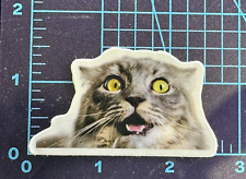 Shocking Sight Cat - Vinyl Sticker Decal PVC Sticker Bomb Statement Tough Guy