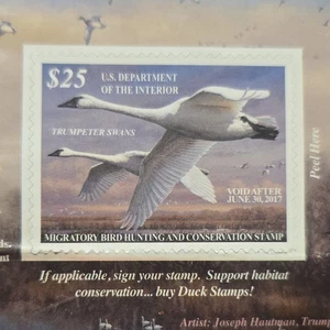 US. 2017 Federal Duck Stamp USFW NH - Picture 1 of 5