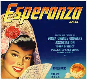 ORIGINAL ORANGE KISTE ETIKETT ESPERANZA LATINA PLACENTIA VINTAGE UM 1940 MEXIKANISCH - Bild 1 von 1