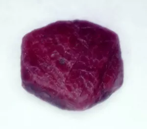 157.98 Ct Natural Ruby Loose Gemstone Red Ruby Corundum Uncut Rough - Picture 1 of 5