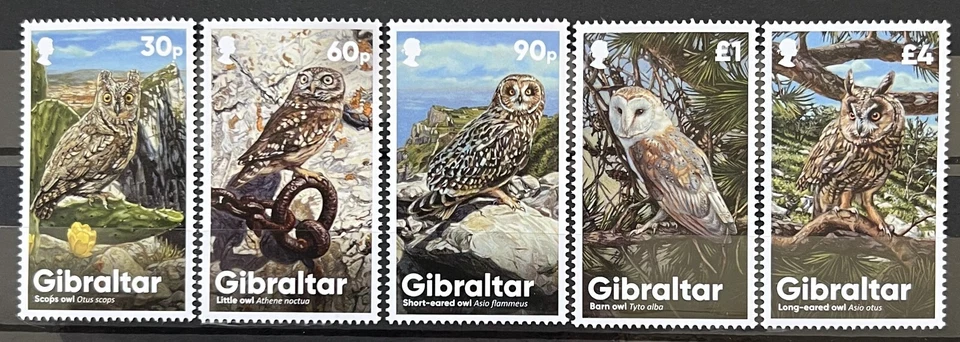 Gibraltar Stamps -  Owls_2020 - MNH. - Image 1 of 1