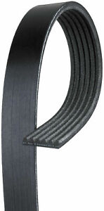 Gates K060305 Micro-V Serpentine Drive Belt For 91-93 Isuzu Stylus