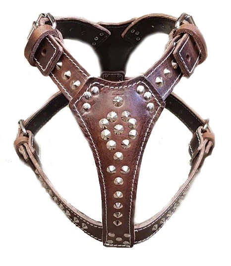 Beautiful Studded Brown Leather Dog Harness fits Large Dog Size like Staffy... - Image 1 of 1