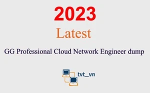 GG Professional Cloud Network Engineer zrzut gwarantowany (aktualizacja 1 miesiąc) - Zdjęcie 1 z 1