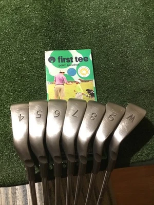 Ping G10 White Dot Irons Set (4-PW) True Temper Steel Shafts (+1/4”) - Image 1 of 4